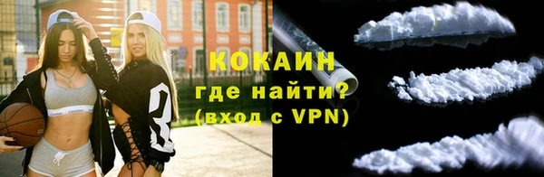 прущие крисы Магадан