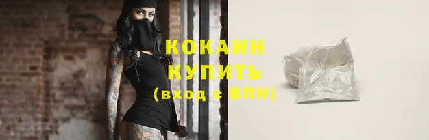 прущие крисы Магадан